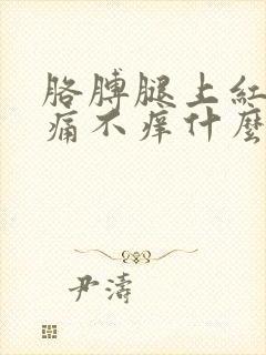 胳膊腿上红点不痛不痒什么情况