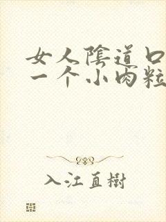 女人阴道口上长一个小肉粒