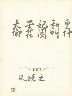 太子妃和皇帝在御花园叫什么小说