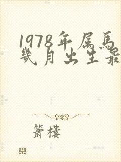 1978年属马几月出生最好命运