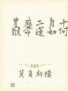 农历二月十四的猴命运如何封面