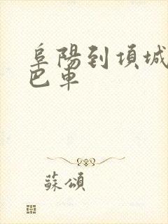 阜阳到项城的大巴车封面