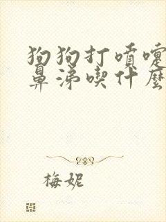 狗狗打喷嚏流黄鼻涕吃什么药