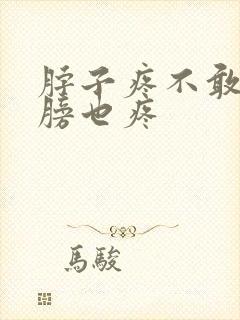 脖子疼不敢动肩膀也疼