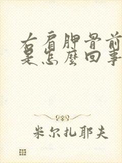 右肩胛骨前面疼是怎么回事