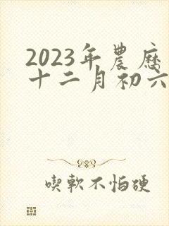 2023年农历十二月初六