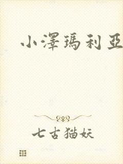 小泽玛利亚作品封面