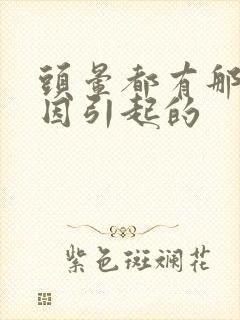 头晕都有那些原因引起的