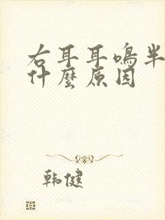 右耳耳鸣半年了什么原因