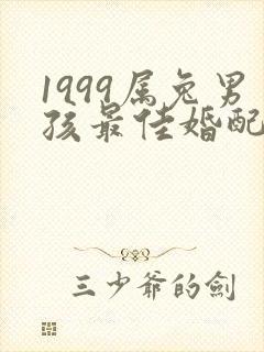 1999属兔男孩最佳婚配属相