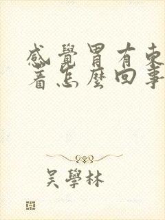 感觉胃有东西堵着怎么回事