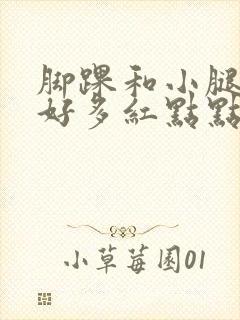 脚踝和小腿长了好多红点点