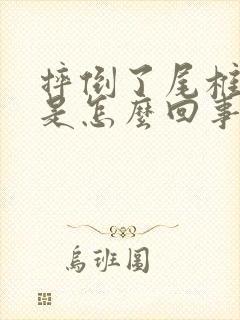 摔倒了尾椎骨疼是怎么回事