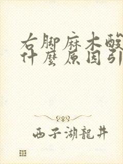 右脚麻木酸胀是什么原因引起的