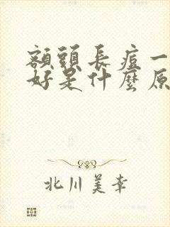 额头长痘一直不好是什么原因