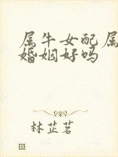 属牛女配属鸡男婚姻好吗