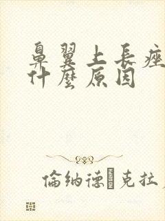 鼻翼上长痤疮是什么原因封面