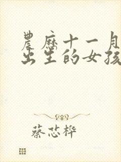 农历十一月十七出生的女孩好吗