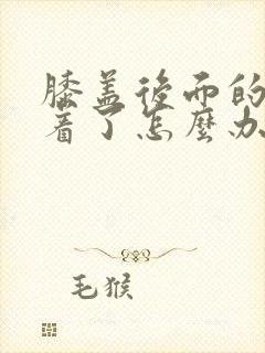 膝盖后面的筋扭着了怎么办封面