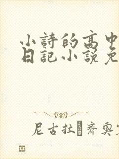 小诗的高中成长日记小说免费阅读