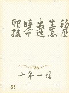 卯时出生的鼠女孩命运怎么样