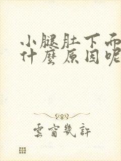 小腿肚下面痒是什么原因呢