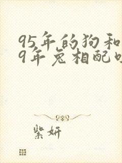 95年的狗和99年兔相配吗封面