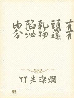 内陷乳头有白色分泌物还有臭味封面