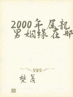 2000年属龙男姻缘在哪年最旺盛封面