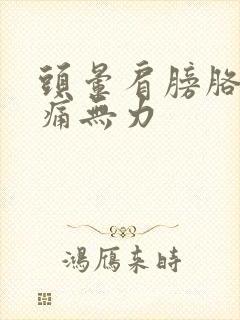 头晕肩膀胳膊酸痛无力