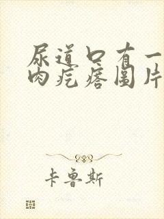 尿道口有一个小肉疙瘩图片