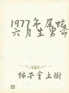 1977年属蛇六月生男命运