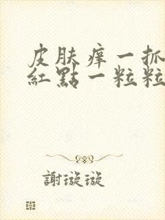 皮肤痒一抓就起红点一粒粒的