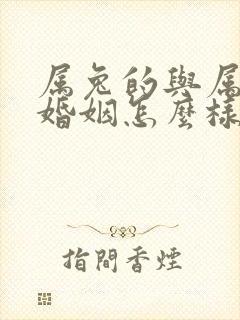 属兔的与属鸡的婚姻怎么样