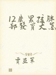 12岁男孩胖胸部发育大怎么回事