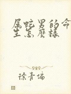 属蛇男的命运一生怎么样