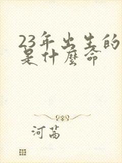 23年出生的兔是什么命