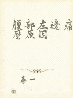 腹部左边痛是什么原因