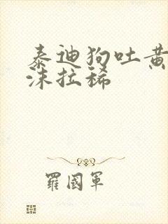 泰迪狗吐黄水带沫拉稀