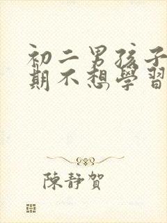 初二男孩子叛逆期不想学习怎么办