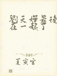 刘天婵最后和谁在一起了封面