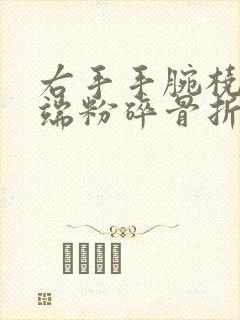 右手手腕桡骨远端粉碎骨折封面