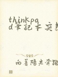 thinkpad笔记本突然黑屏开不了机