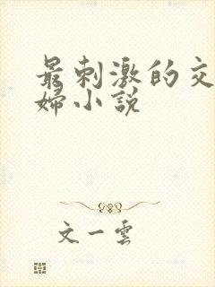 最刺激的交换夫妇小说封面