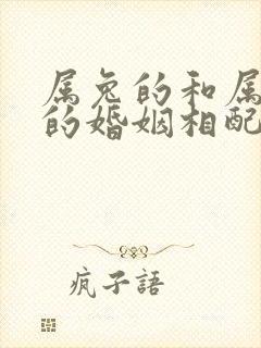 属兔的和属老虎的婚姻相配吗