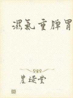 湿气重脾胃不好