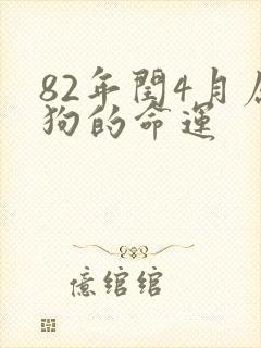 82年闰4月属狗的命运