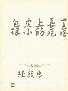 包皮上长了一些很小的疙瘩封面