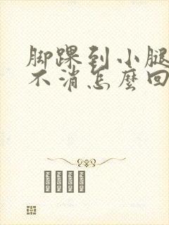 脚踝到小腿肿老不消怎么回事