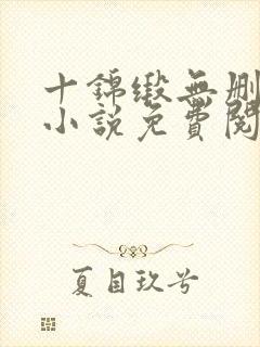 十锦缎无删原著小说免费阅读封面